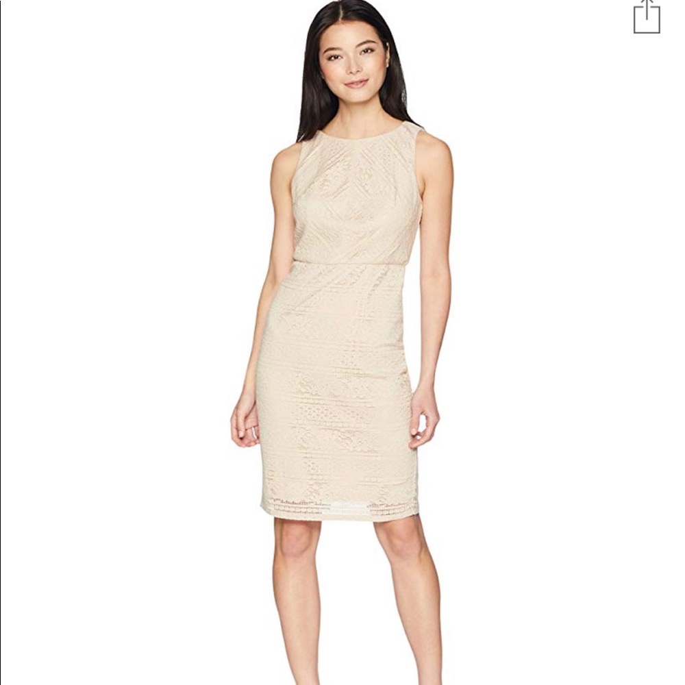 Adrianna Papell Vintage Lace Midi Dress